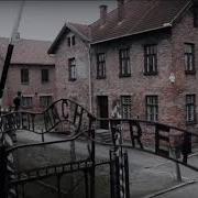 Дым Над Биркенау