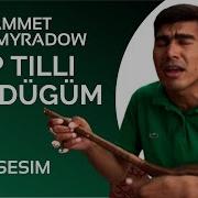 Gurt Yakup