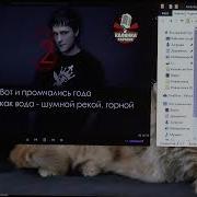 Скачать Караоке На Флешку