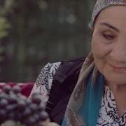 Шахзода Аламли Орзулар