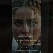 Suno Крылья Верности