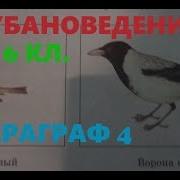 Кубановедение 6 Класс