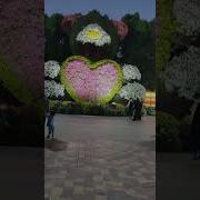 Биз Дунëнинг Ошикларимиз