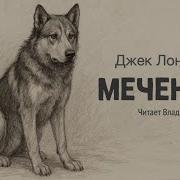 Аудиосказки Джек Лондон