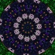 Демирер Юлия