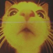 Room Waves Is Anyone