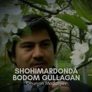 Шохимардонда Бодом Гуллаган