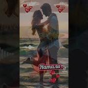 Александр Янущик Натали