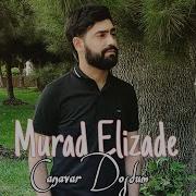 Dostum Canavar