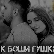 Зик Боши Гуш Кун