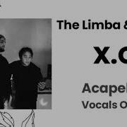 The Limba Xo Acapella