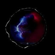 Aleckat Burmese Bender