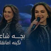 Нигина Амонкулова Бача Шоир