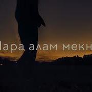 Соат Ку 3 Шавай