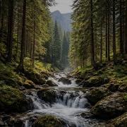 Echo Silence В Стиле Евродиско И Korg