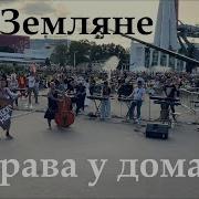 Трава У Дома Никстер
