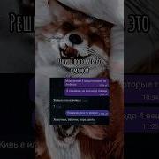 Ты Любишь Котов А Я Тебя