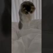 Ну Наконец То Пятница