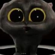 Кошки Поют 1 Час
