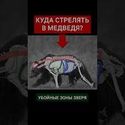 Медвежий Вал