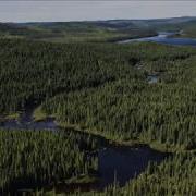Цыганская Песня Бродяга