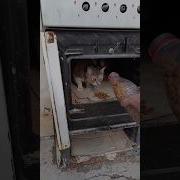 Татьяна Кацевич Оглянись