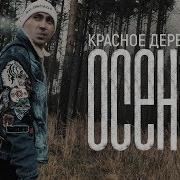 Осень 2018 Красное Дерево