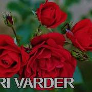 Vayri Varder Cover Robert Tamazyan Remix 2026 New
