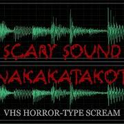 Vhs Scream Sound Effect