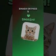 Ou Aha Ou Aha Speed Pass