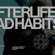 Afterlife Bad Habits