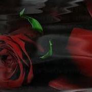 Туган Кэнен Белэн Энем
