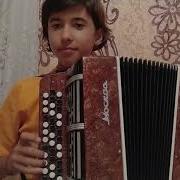 Цыганочка Баян