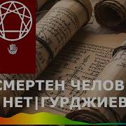 Соли Zinbedte Și Va Zinbi O Lume Intreaga