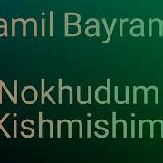 Jamil Bayrami