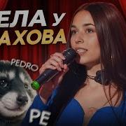 Ника Моисеева Педро
