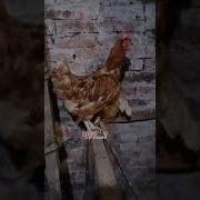 Танюха Мне Скучно