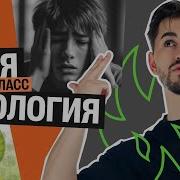 Биология 6 Класс Пасечник