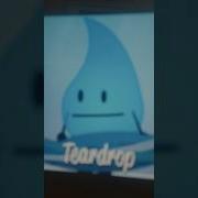 Teardrop Coiny Logo