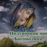 Богомолица Минус
