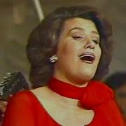 Тёмно Вишнёвая Шаль