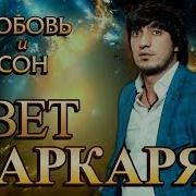 Буду Нежно Целовать