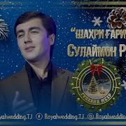 Сулаймон Рачабов 2025
