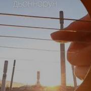 Торообут