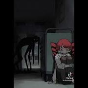 Tauno Ottawa Miku