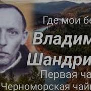 Владимир Шандриков