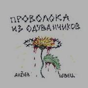 Проволока Из Одуванчиков