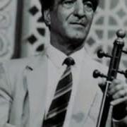 Segah Berdeshdi
