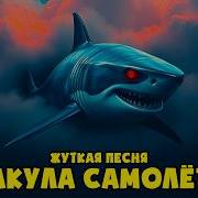 Акула Самолёт