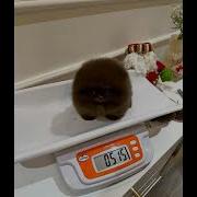 Emoslut666 Плейлист